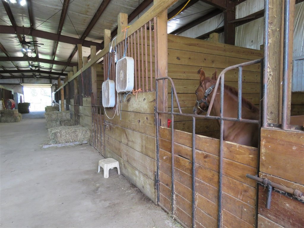 Picture 14