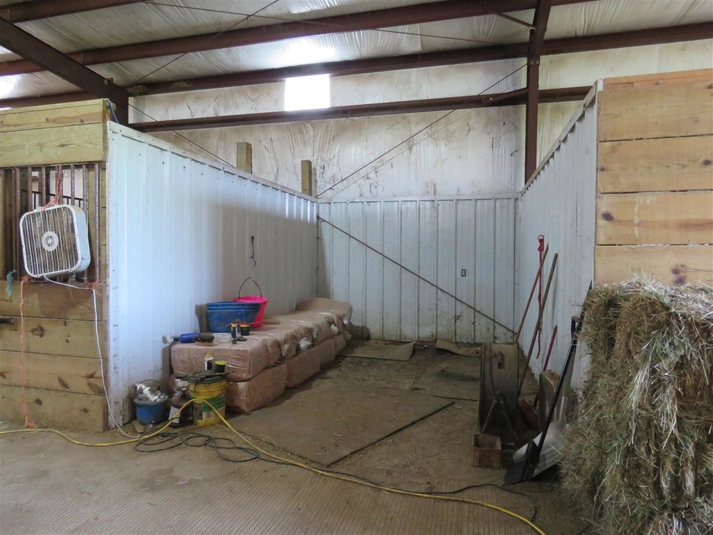 Picture 18