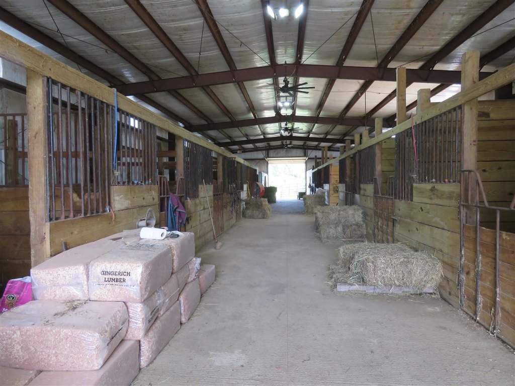 Picture 15