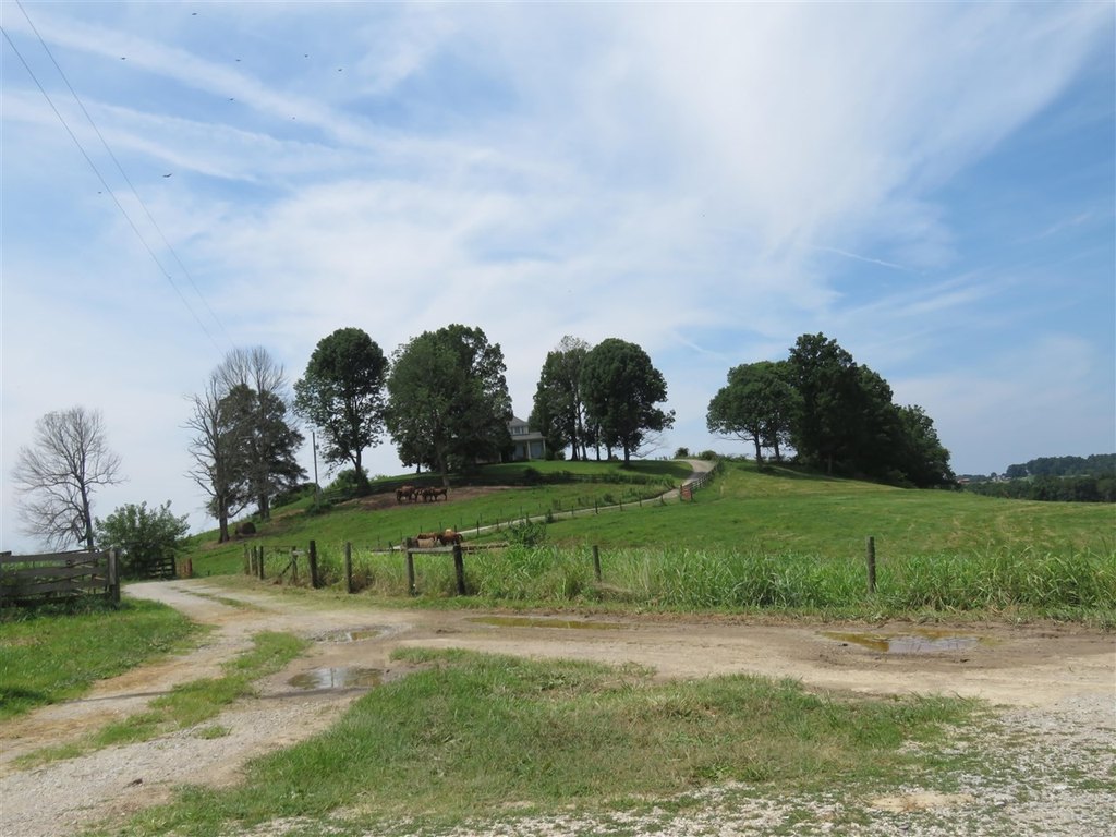 Picture 9
