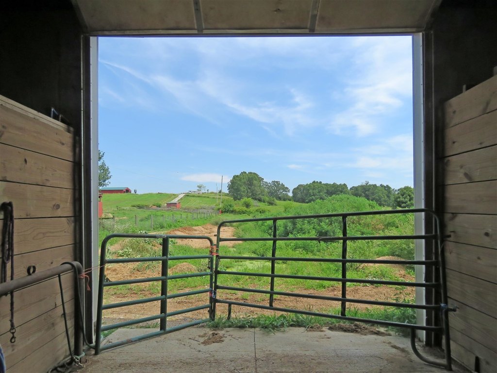 Picture 20