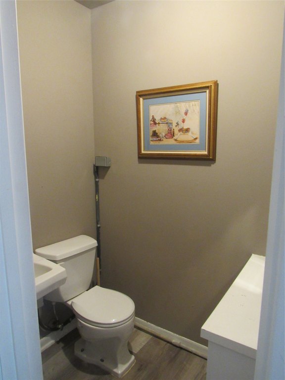 Picture 13