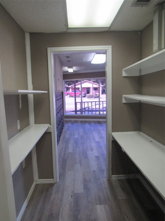 Picture 22