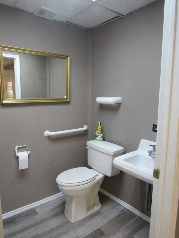 Picture 19