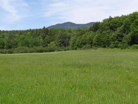 Agricultural Land Parcel