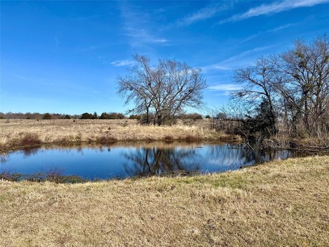 Land, Celeste, TX