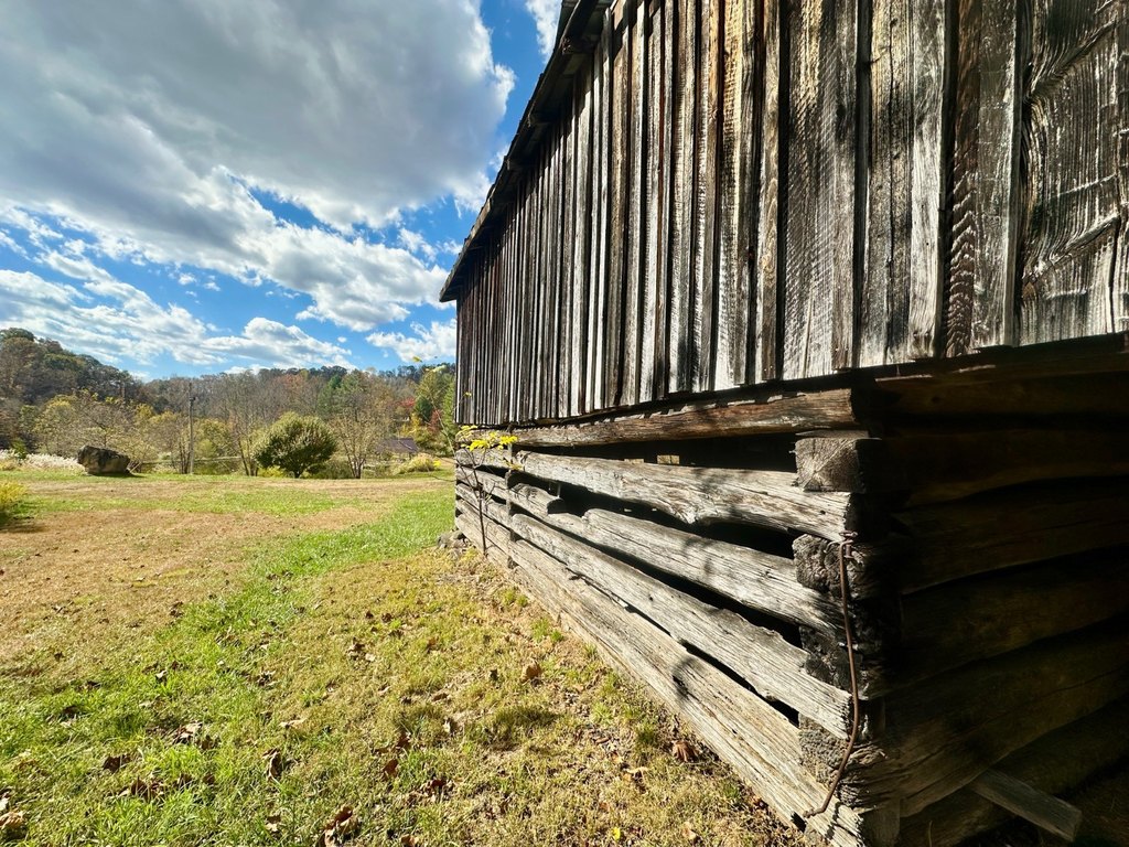 Picture 19