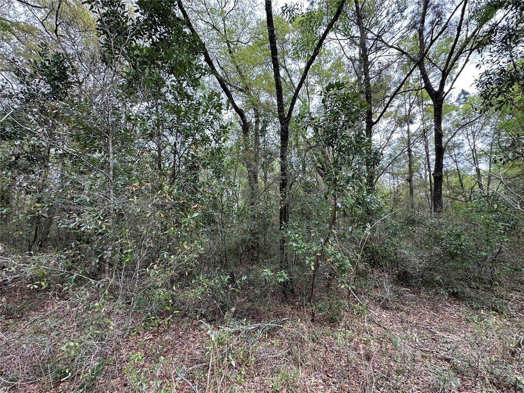 Picture 4