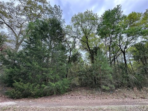 Agricultural/Rural Residential Building Lot