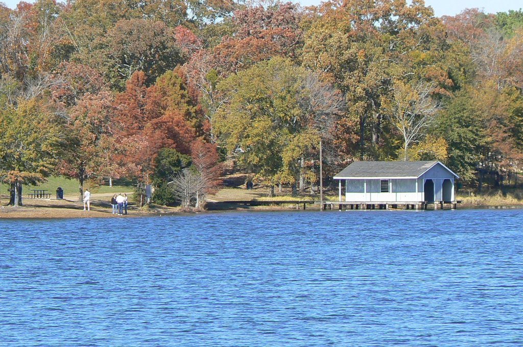 Picture 17