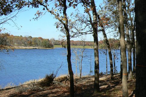 Wooded Waterfront Land Lot