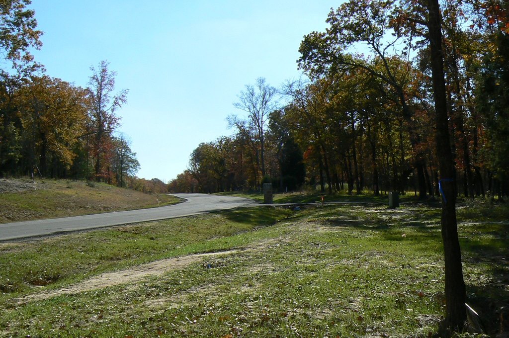 Picture 25