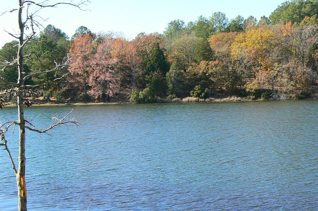 Picture 18