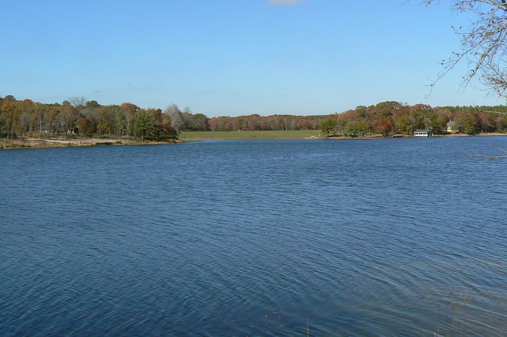 Picture 19