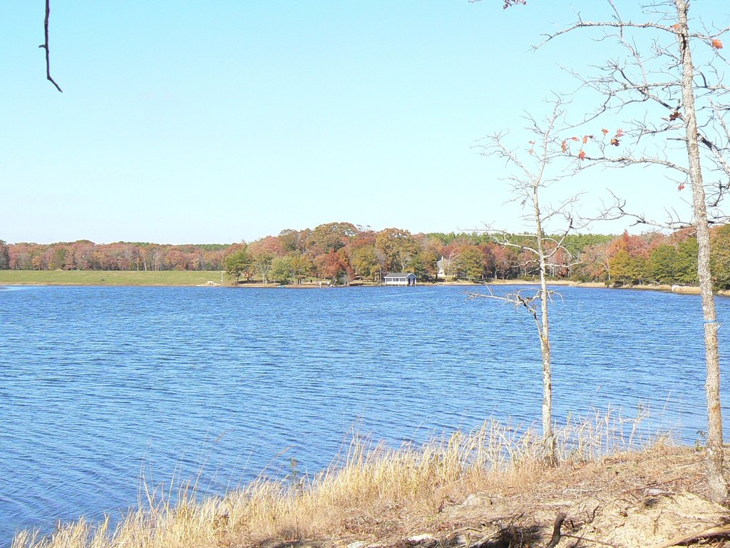 Picture 16