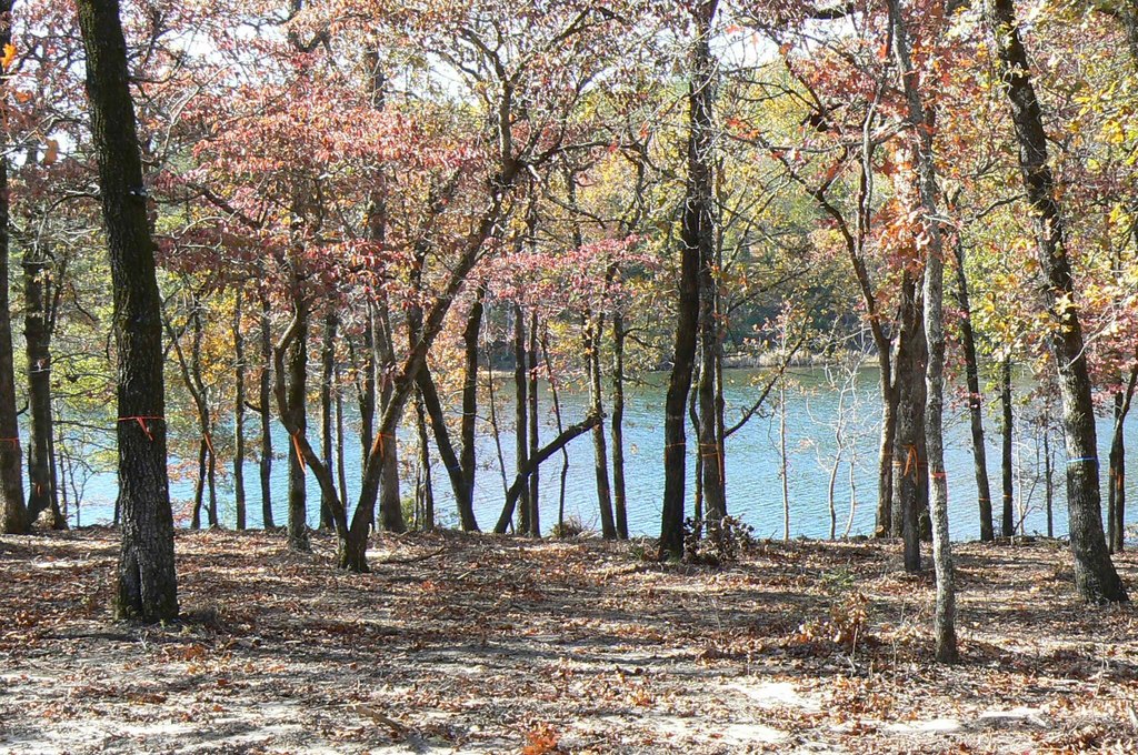 Picture 24