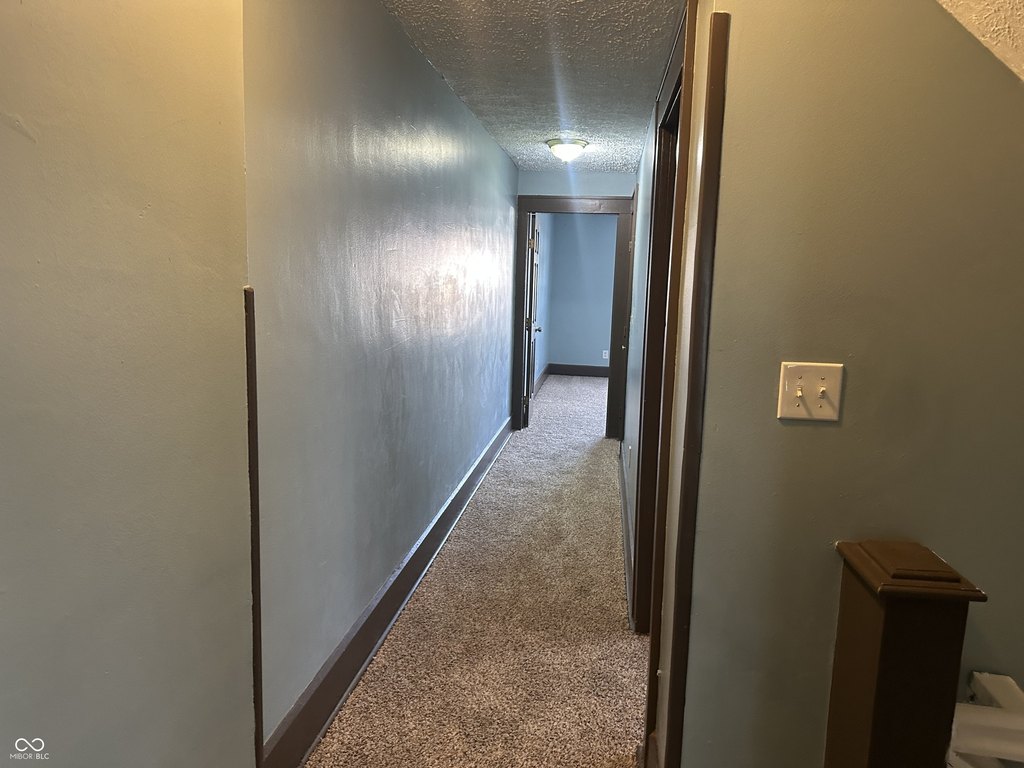 Picture 28