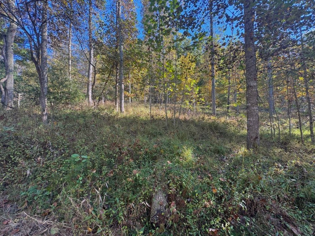 Picture 11