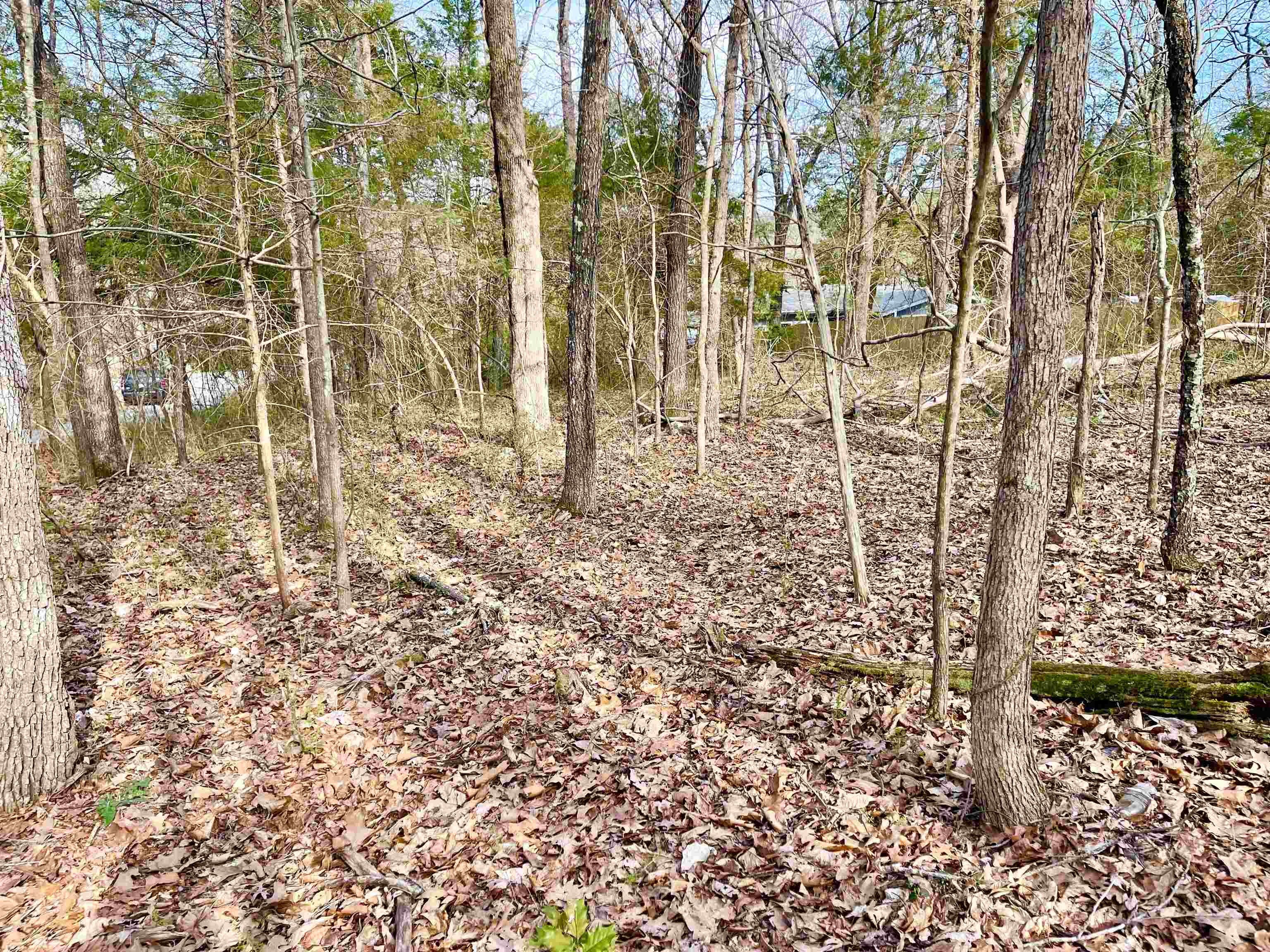 Cherokee Village Land Opportunity