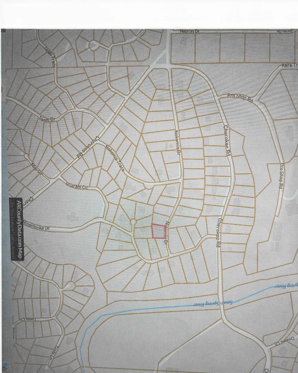 Picture 11