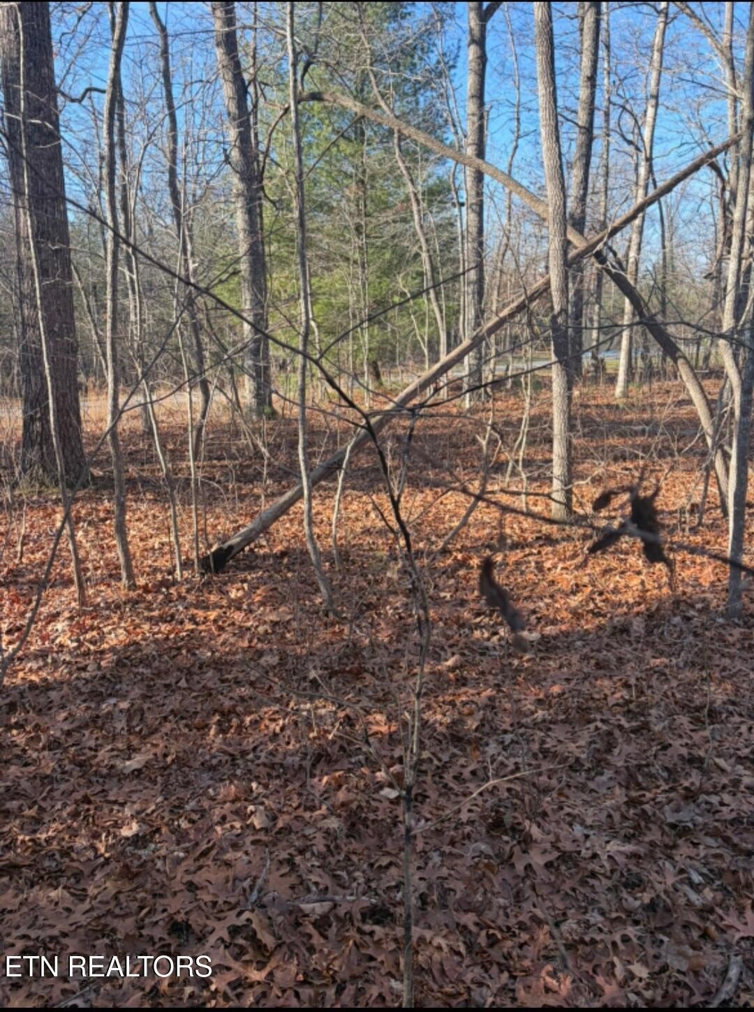 Crossville, TN Corner Lot
