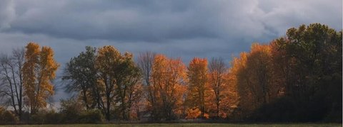 Richland Land Near Crane Lake