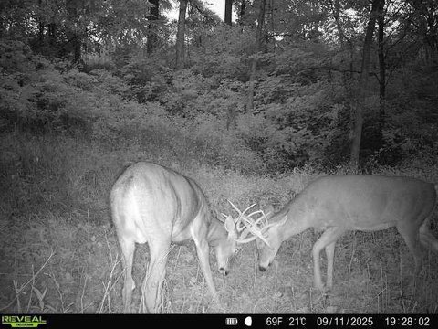 40 Acres Farm and Hunting Land