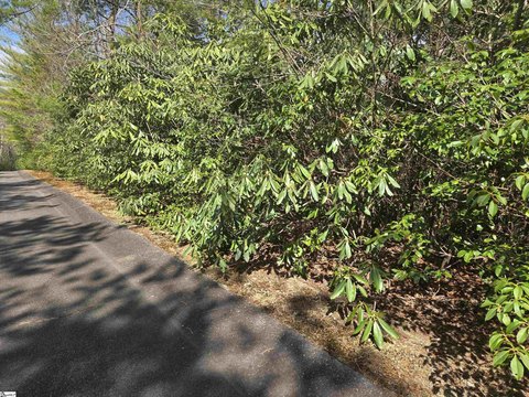 Caesars Head Vacant Lot