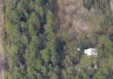 Land, CITRA, FL