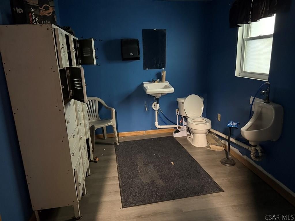 Picture 30