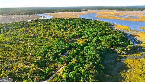 LAND - Townsend, GA
