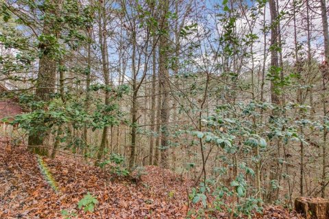 Ellijay, GA Vacant Lot