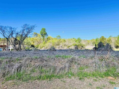 Commercial Land with Road Frontage