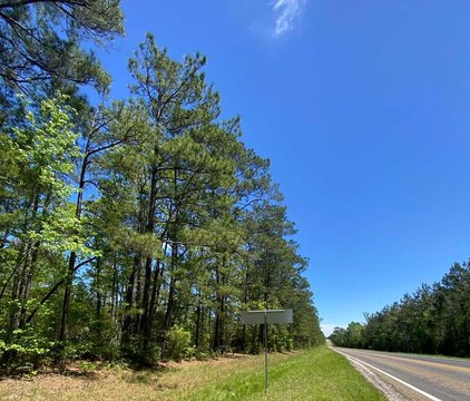 Unrestricted Land Near Lake Sam