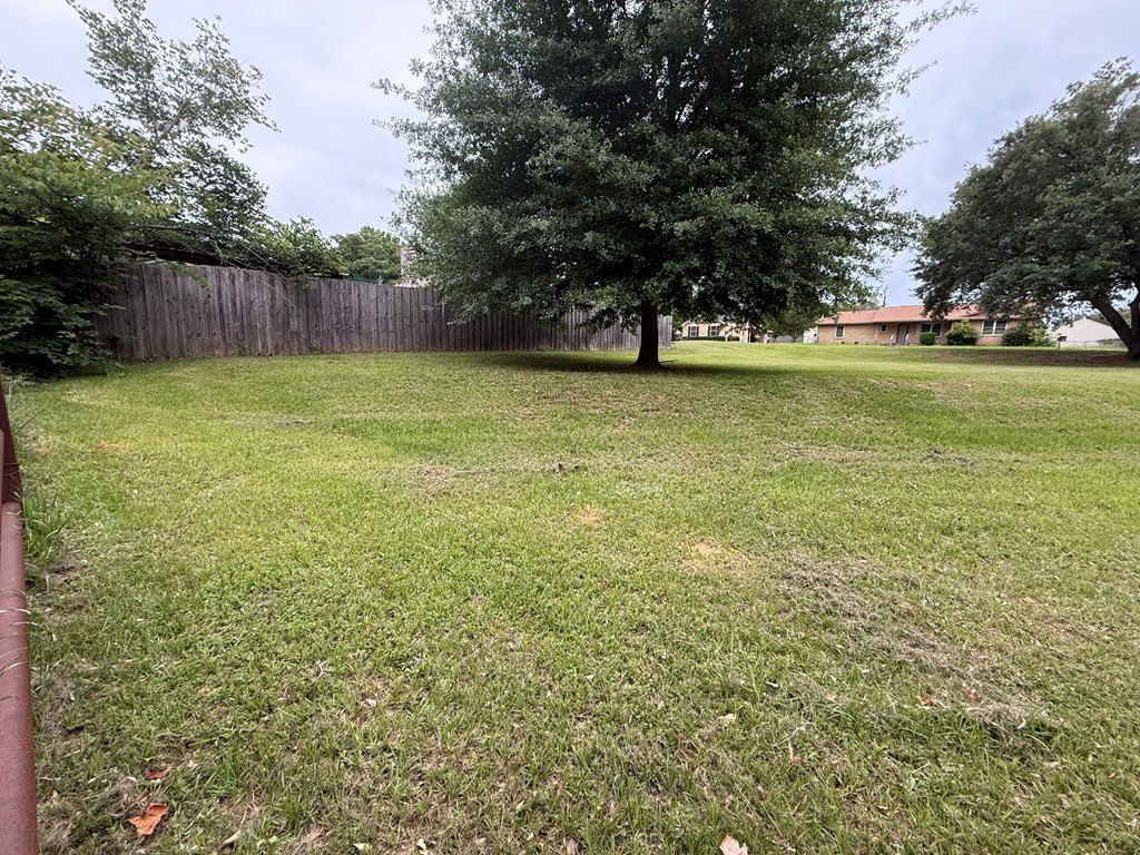 Picture 3
