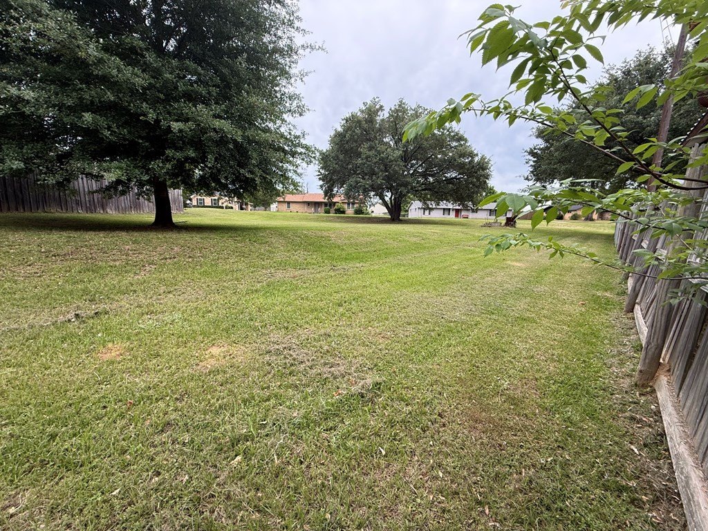 Picture 4