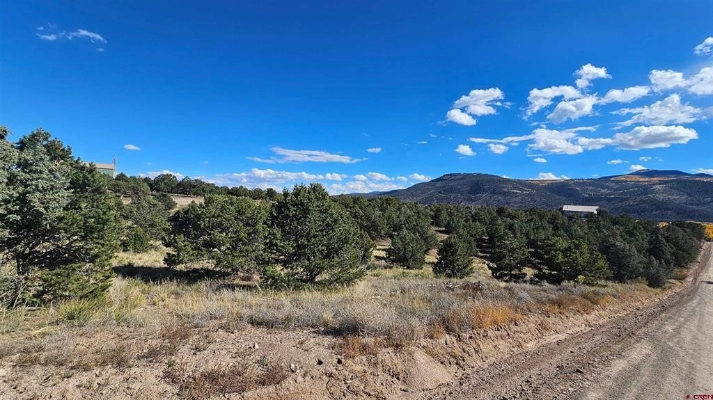 Land in South Fork, CO
