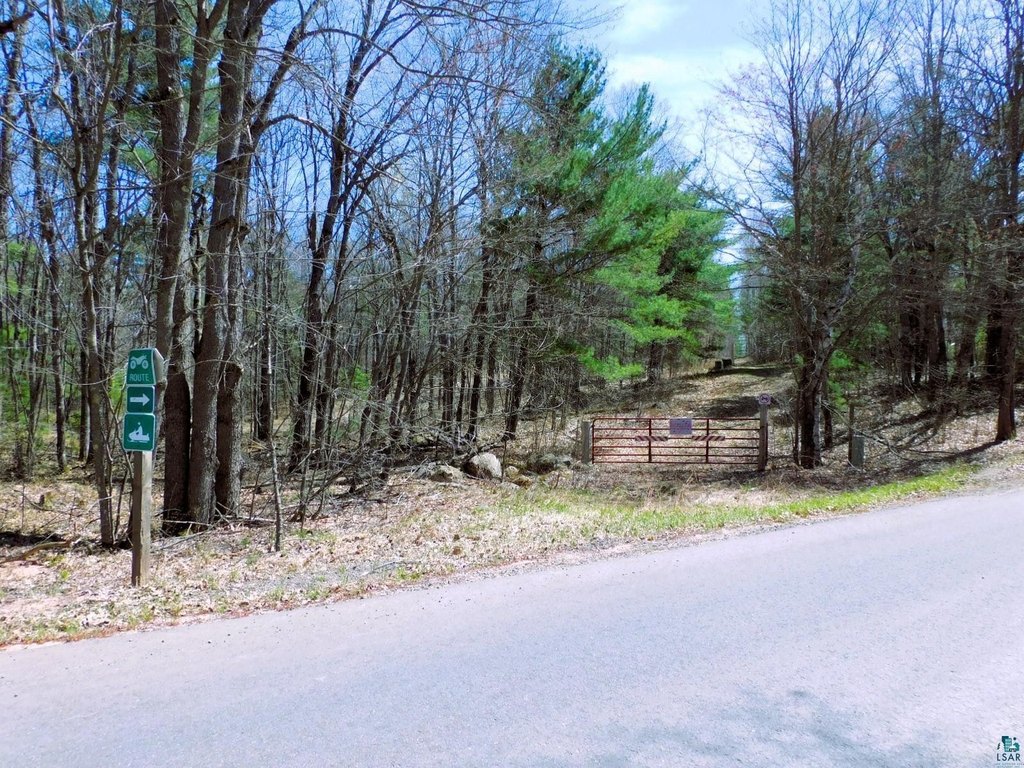 Picture 15