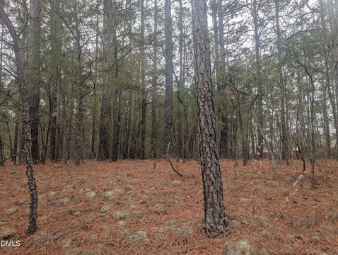 Eagle Springs One Acre Lot