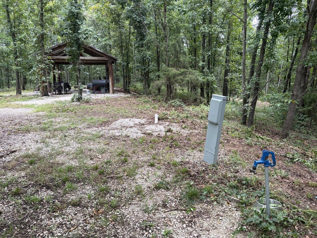 Picture 11