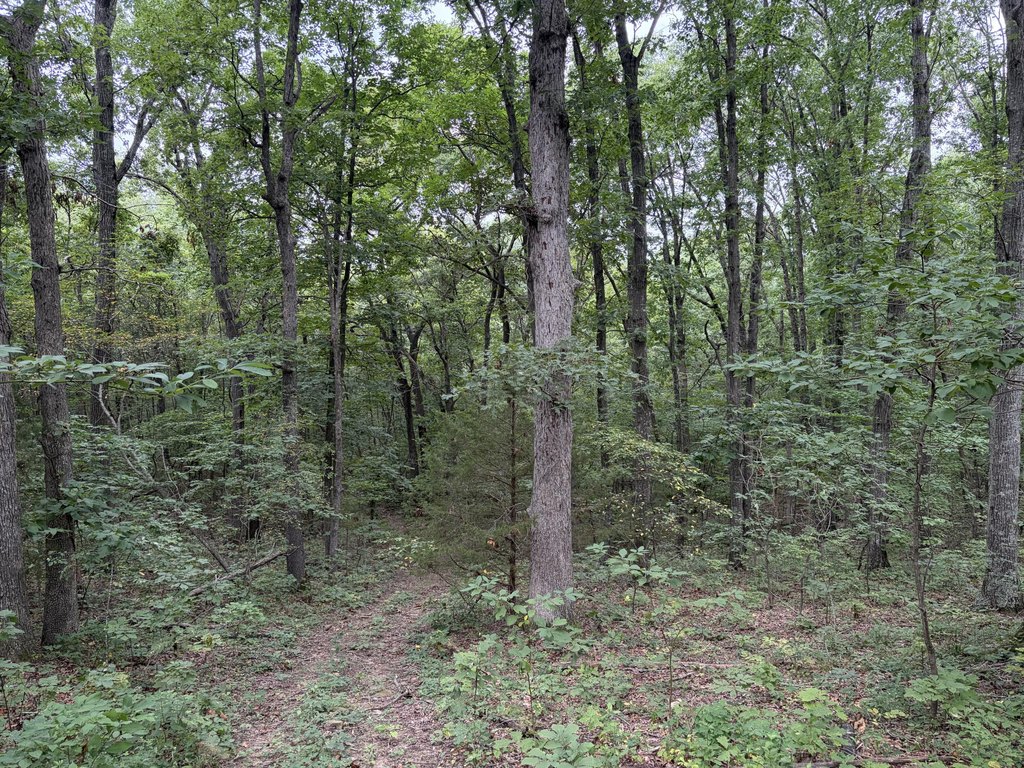Picture 20