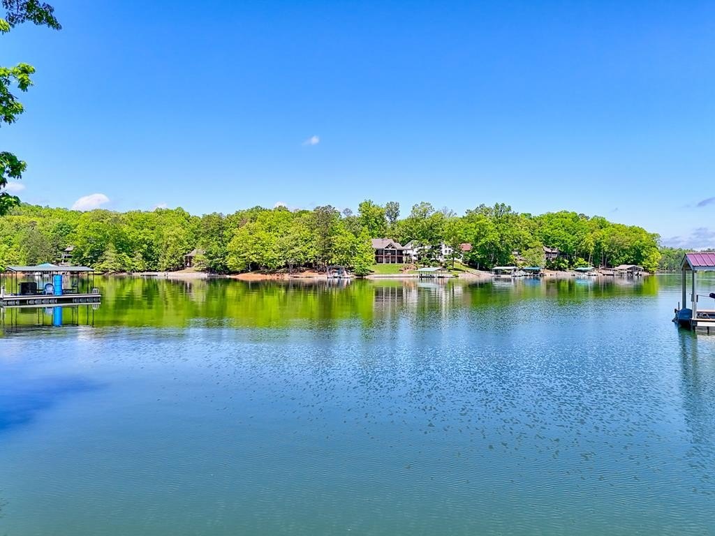 Lake Nottely Cove Land