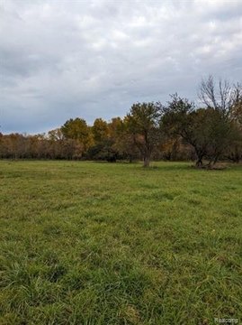 LAND - Bruce Twp, MI