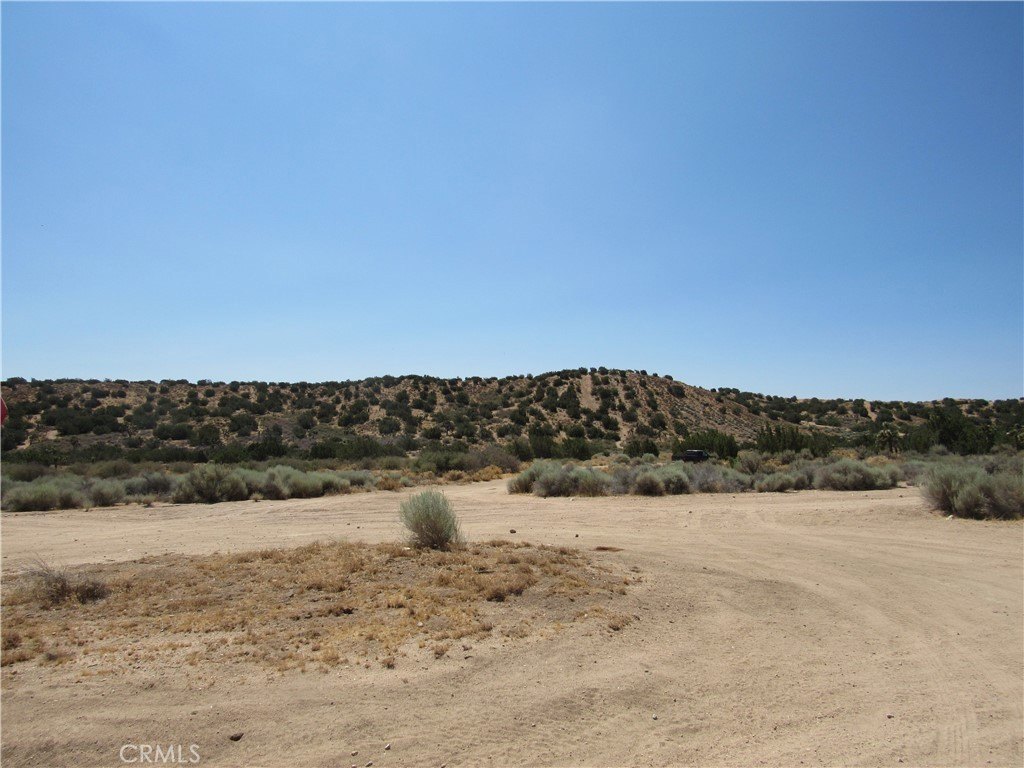 Picture 5