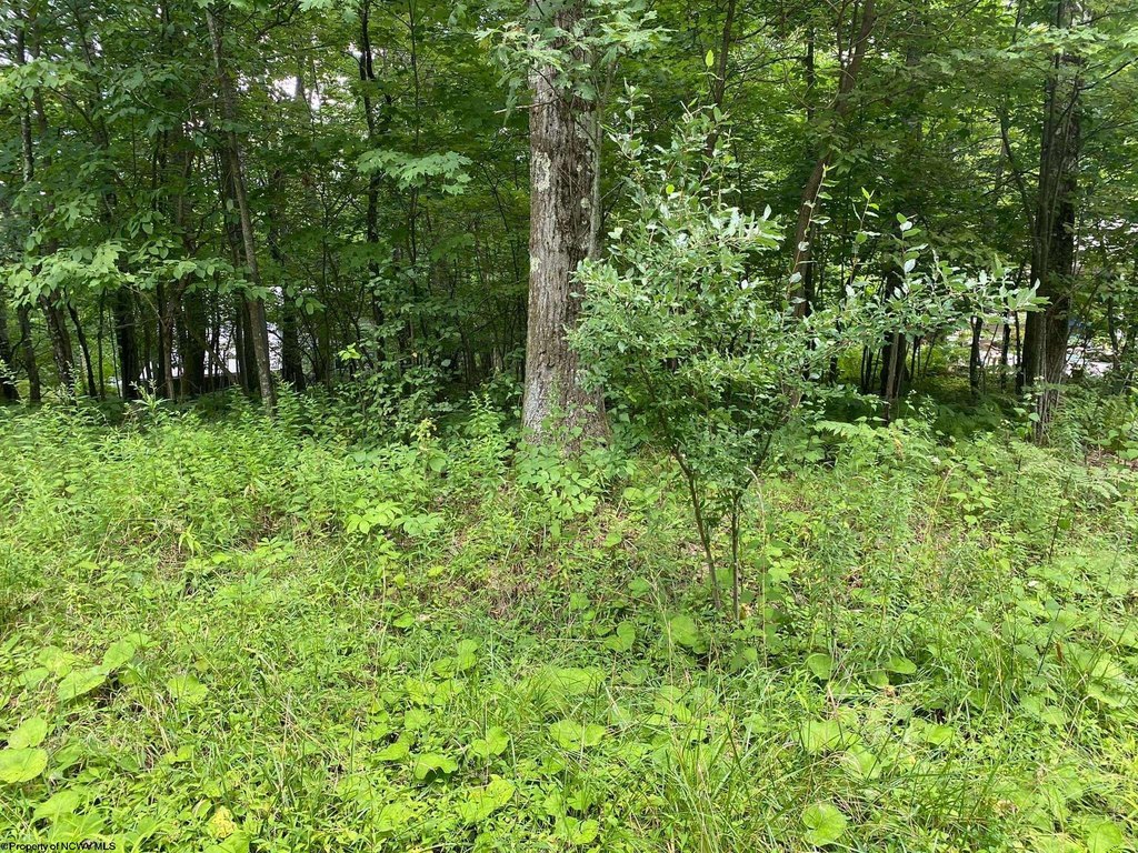 Picture 2