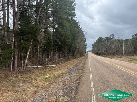 Timberland Homesite Tract with Highway Frontage