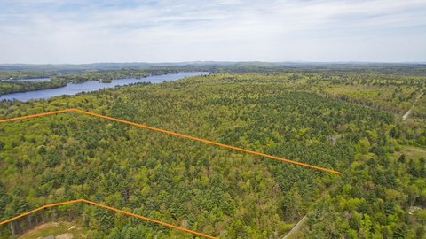 Expansive Land Parcel in Blandford