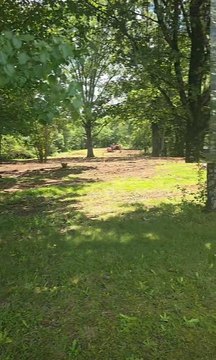 LAND - Waterloo, AL