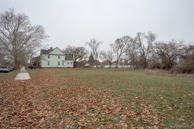 Picture 9