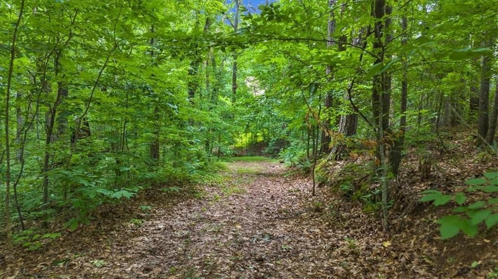 Unrestricted Land Near Interstate 575